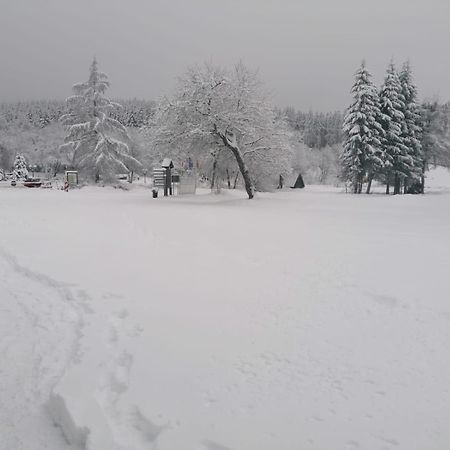 Ferienwohnung Mia Winterberg Pokoj fotografie