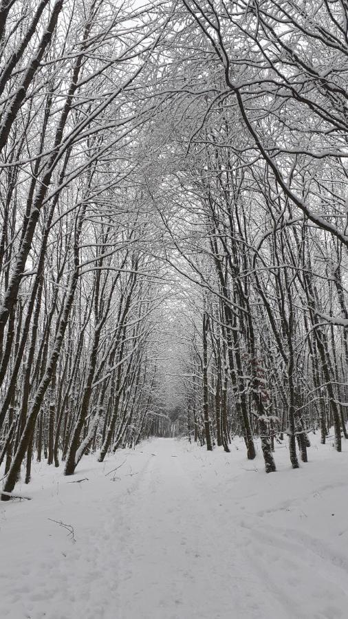Ferienwohnung Mia Winterberg Pokoj fotografie