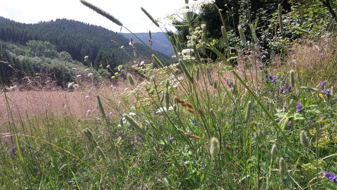 Ferienwohnung Mia Winterberg Exteriér fotografie