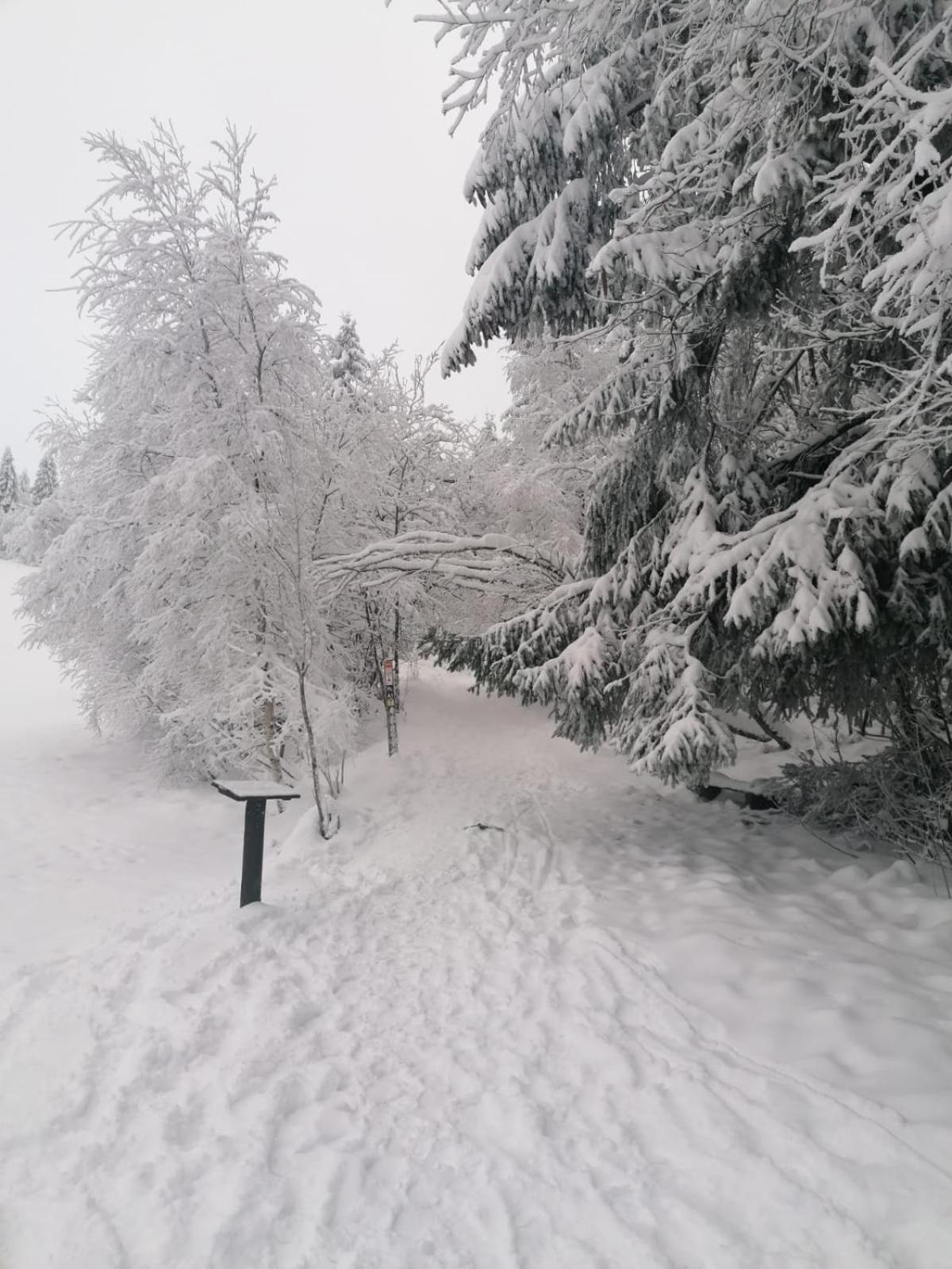 Ferienwohnung Mia Winterberg Pokoj fotografie